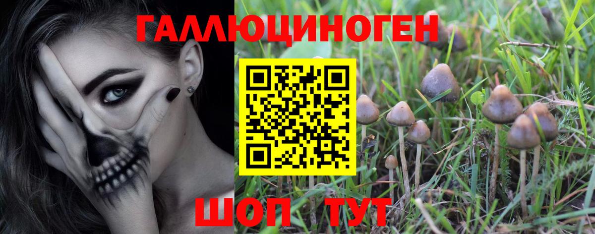 Псилоцибиновые грибы Psilocybine cubensis Верхний Уфалей
