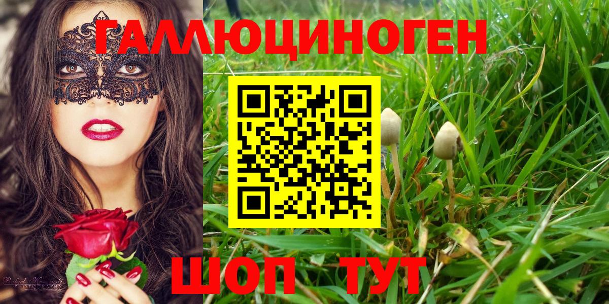 Галлюциногенные грибы Magic Shrooms  Вход с VPN  Верхний Уфалей 